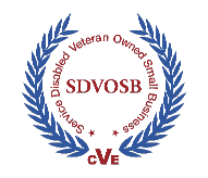 SDVOSB_color-002
